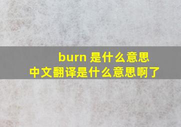 burn 是什么意思中文翻译是什么意思啊了